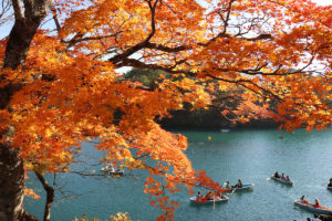 Tohoku Autumn