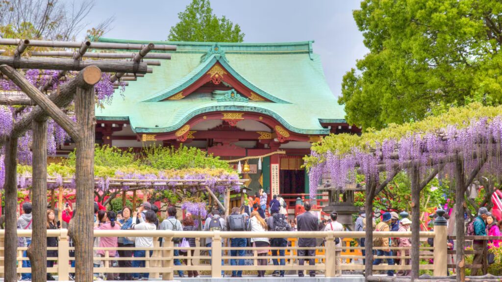 Spring Wisteria Blooms at Kameidoten Shrine Tokyo