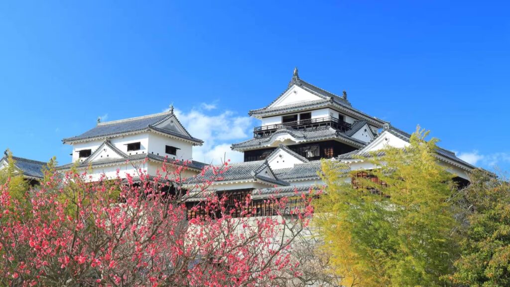 Historic Matsuyama Castle and Panoramic Views