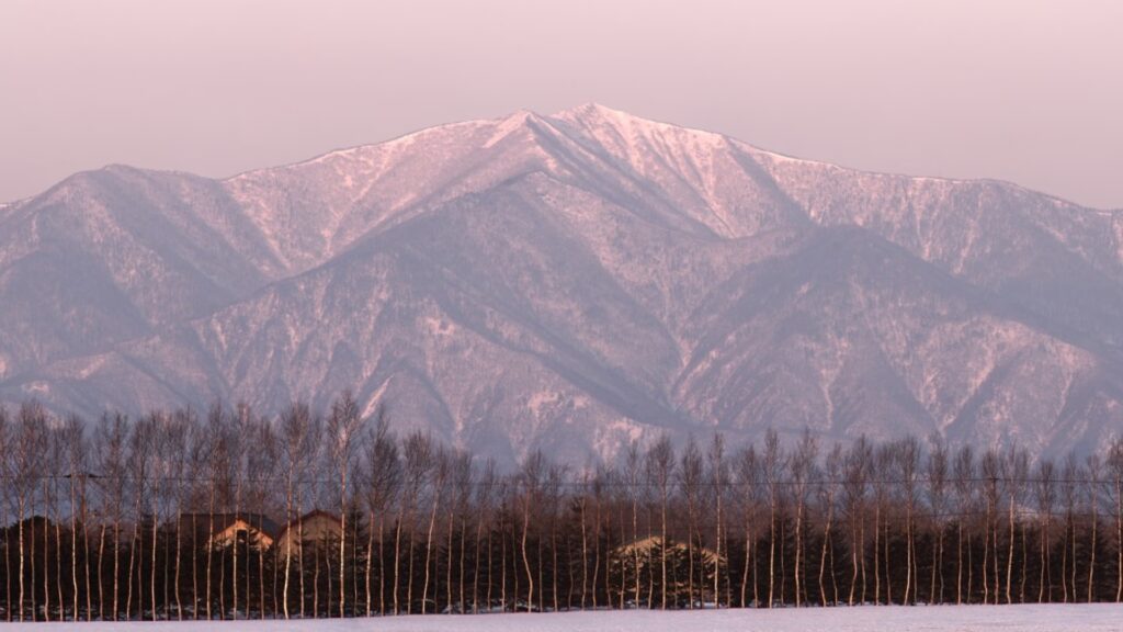 Hidaka Woodland Road